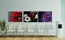 Load image into Gallery viewer, Art by Rita Barakat